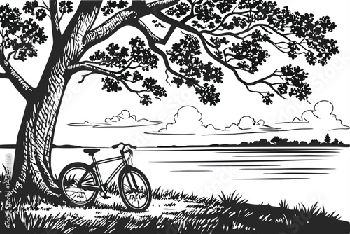 10 black and white illustration, detailed line art, serene lakeside scene, large tree with textured bark, bicycle leaning against tree, calm water surface, distant shoreline, wispy clouds, grassy fore