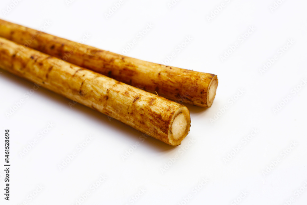 Fresh burdock roots or gobo roots Fresh burdock roots or gobo roots