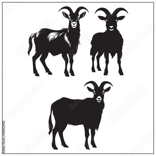 silhouette of a goat