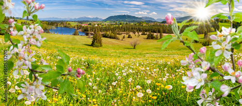 Tableau sur toile Panorama Frühling im Allgäu in Bayern