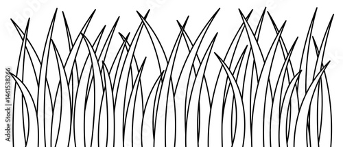 Grass. Sketch. Tall thickets of weeds. Vector illustration. Outline on an isolated white background. Doodle style. Vigorous vegetation. Coloring book for children. Idea for web design.