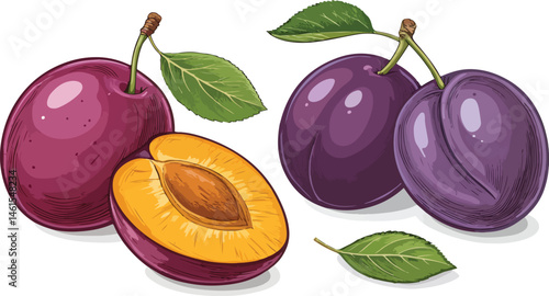 Plums in white background vector design, Plums illustration vector design