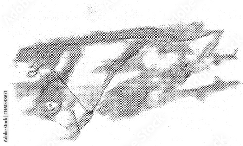 A detailed black and white sketch depicts a stylized bird's head with intricate feather