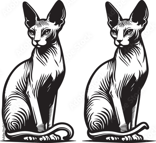 Sphynx Cat Vector Black and White Line Art Illustration