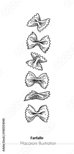Farfalle Italian Pasta. Vector hand-drawn sketch of food. Vintage style engraving. etching. Line art