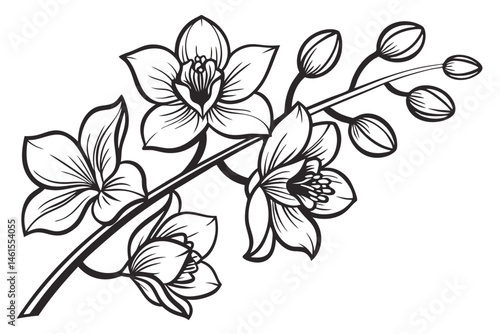 100 Orchid flowers, detailed botanical illustration, black and white ink drawing, elegant line art, delicate petals, blooming orchids, various angles, floral study, vintage engraving style, crisp outl