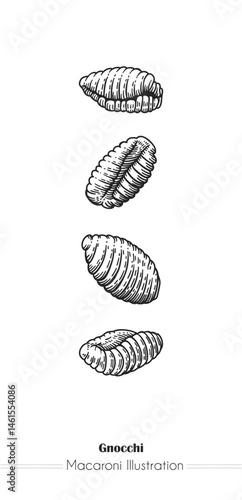 Gnocchi Italian Pasta. Vector hand-drawn sketch of food. Vintage style engraving. etching. Line art