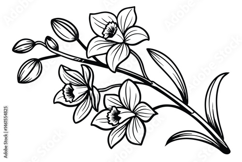 100 Orchid flowers, detailed botanical illustration, black and white ink drawing, elegant line art, delicate petals, blooming orchids, various angles, floral study, vintage engraving style, crisp outl