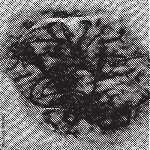 A detailed grayscale of a stylized butterfly.
