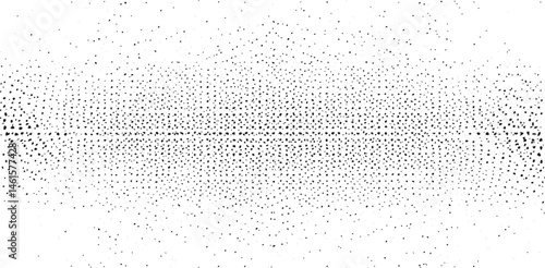 A seamless expansive black and white gradient stretches horizontally across the frame.