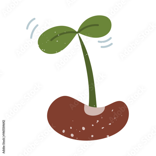Bean sprout. flat doodle with texture. It is suitable for seed packaging, blogs about cultivation, stickers, educational materials, eco-projects and garden products. Sprout for planting in the ground