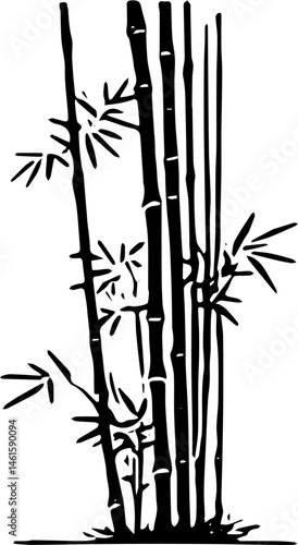 bamboo vector illustration