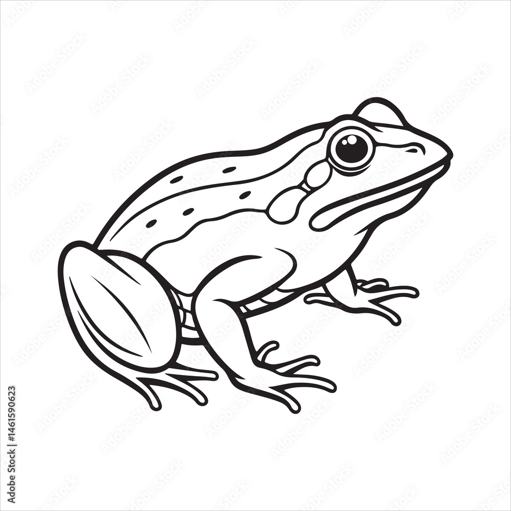 American bullfrog silhouette vector American bullfrog silhouette vector