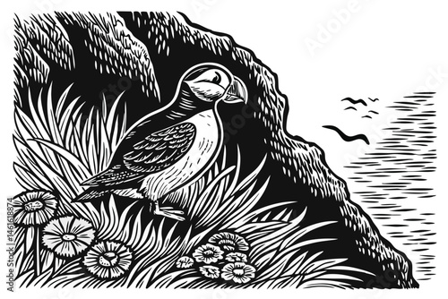 27 Detailed black and white illustration, puffin bird, rocky coastal habitat, intricate feather detail, botanical elements, etching style, high contrast, wildlife art, precise linework, realistic text