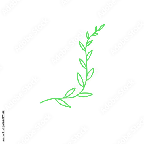 Illustration Of Green Vine Plants