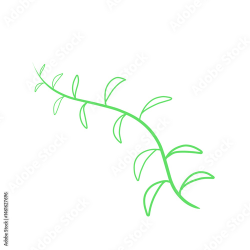 Illustration Of Green Vine Plants