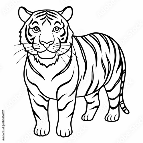 Black and White Tiger Illustration . Line Art Drawing