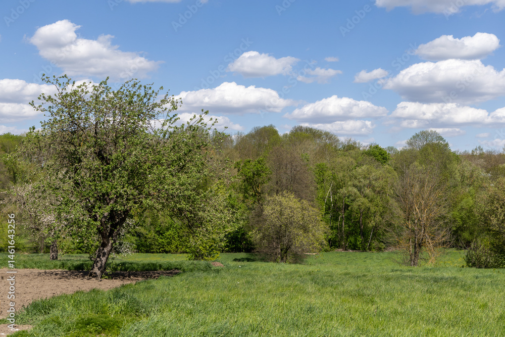 Bright spring landscape on a sunny day Bright spring landscape on a sunny day