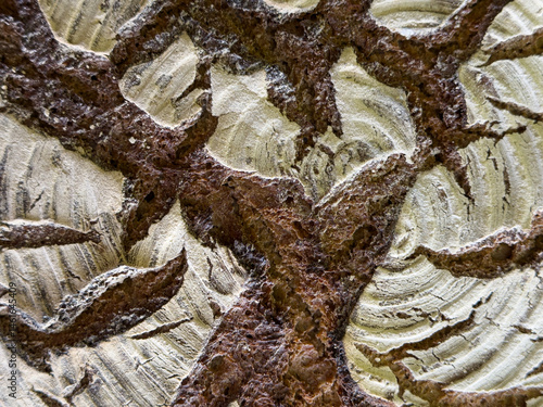 High-resolution image of abstract tree bark texture with brown and white swirls. Perfect for backgrounds and design projects.