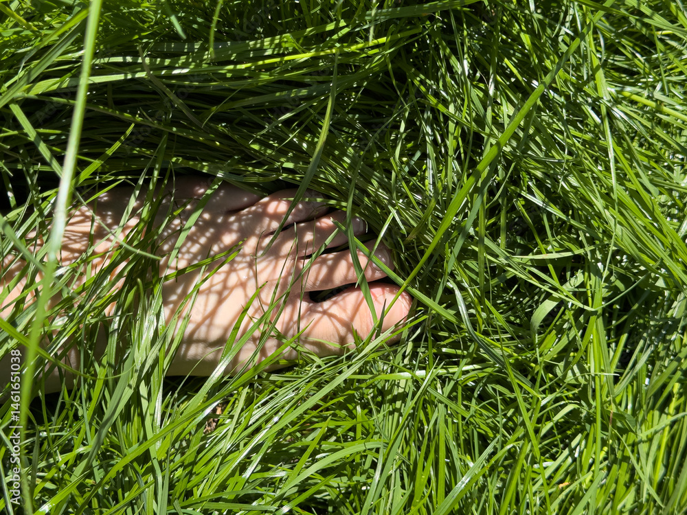 Obraz premium Close-up of a foot nestled in vibrant, sunlit grass. Perfect for nature, summer, and relaxation themes.