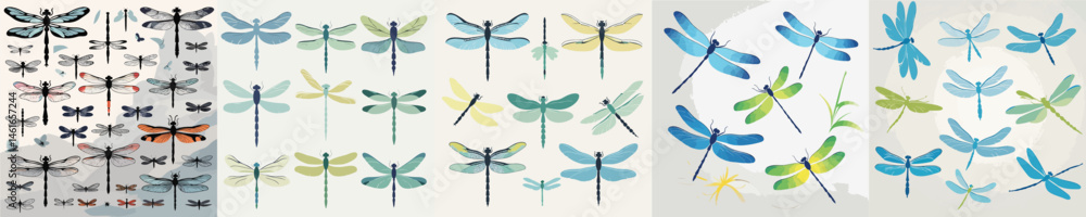 Fototapeta premium a beautiful collection of dragonfly vectors
