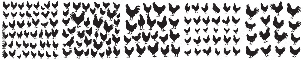 Obraz premium set of chicken silhouette icons