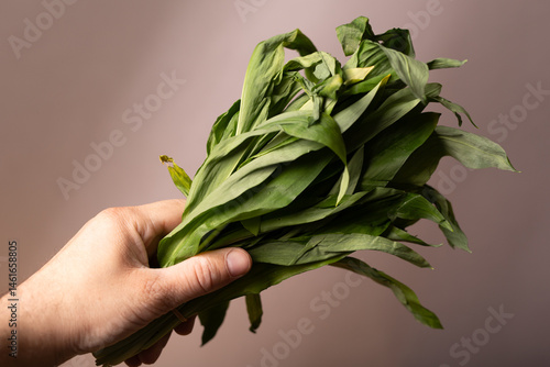 Hand holding a bunch of fre...