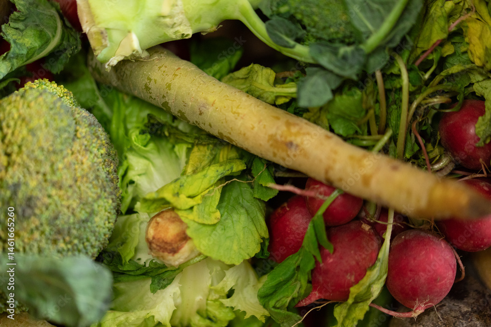 Healthy mix of fresh organic broccoli, radishes, lettuce and other greens. Perfect for salads or cooking.