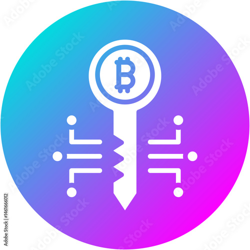 Private Key Icon