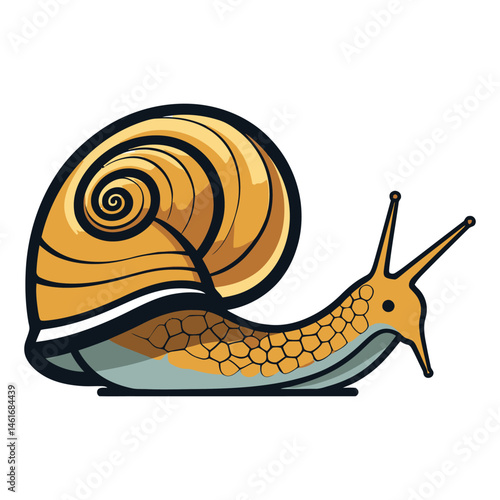Snail vector illustration clipart on a white background