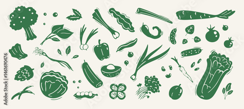 Green vegetables silhouettes and hand drawings of cabbages, broccoli and other veggies, symbols and stickers. Graphic design elements, healthy food signs.  Vector illustration.