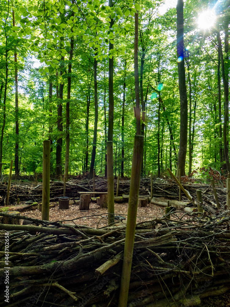 Fototapeta premium Aufbauten in einem Waldkindergarten
