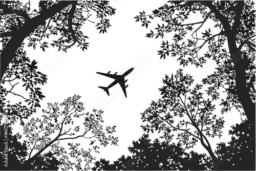 Fotografi 52 Black and white photography, airplane silhouette, tree canopy, leaf silhouett