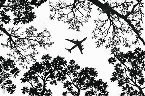 52 Black and white photography, airplane silhouette, tree canopy, leaf silhouettes, nature framing, high contrast, looking up perspective, commercial airliner, forest view, intricate branches, dramati