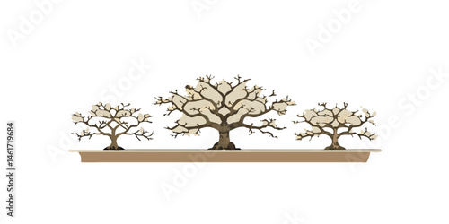 Bonsai trees on platform in minimal Japanese style