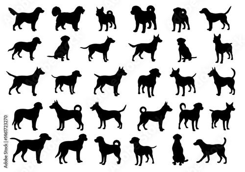 A Collection of Canine Silhouettes Depicting Various Dog Breeds in Dynamic Poses Displaying Distinctive Breed Characteristics and Body Structures Showcasing the Diversity Within the Canine Family in S
