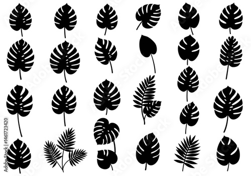 Exploring Diverse Foliage A Visual Journey Through the Shapes and Forms of Leaves Unveiling Nature's Artistic Expression and the Intricate Beauty Found in Botanical Diversity Showcasing the Unique Cha