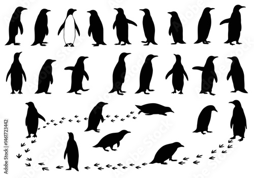 A Gathering of Flightless Aquatic Birds Exploring their Environment with Determination and Graceful Movements Displaying Natural Beauty and Adaptation to Cold Climate Ecosystems in a Unified Collectiv