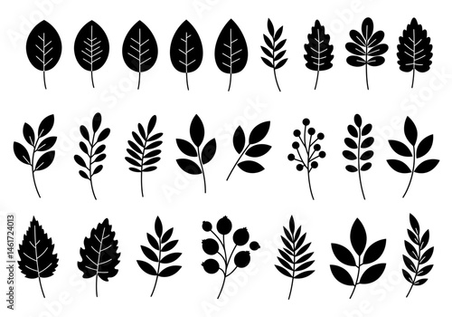 Diverse Collection of Botanical Elements Featuring Various Leaf Shapes and Textures Displaying an Array of Natural Patterns and Forms for Artistic Botanical Designs and Creative Projects