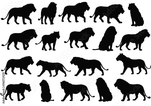 The Majestic Silhouettes A Study of Strength and Grace as Lions Roam and Reign in the Shadows of the African Savannah a Dance of Predators Across the Dusk a Legacy of Power