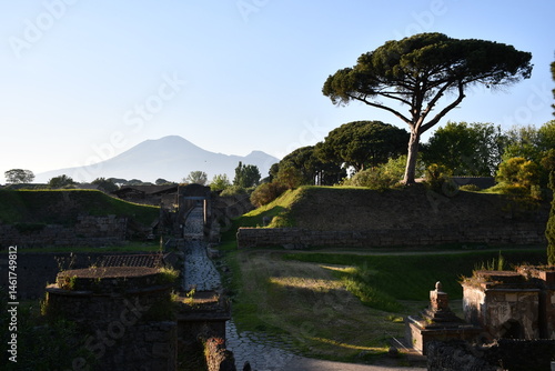 Park archeologiczny w Pompejach z Wezuwiuszem w tle. Pompeje, Italia