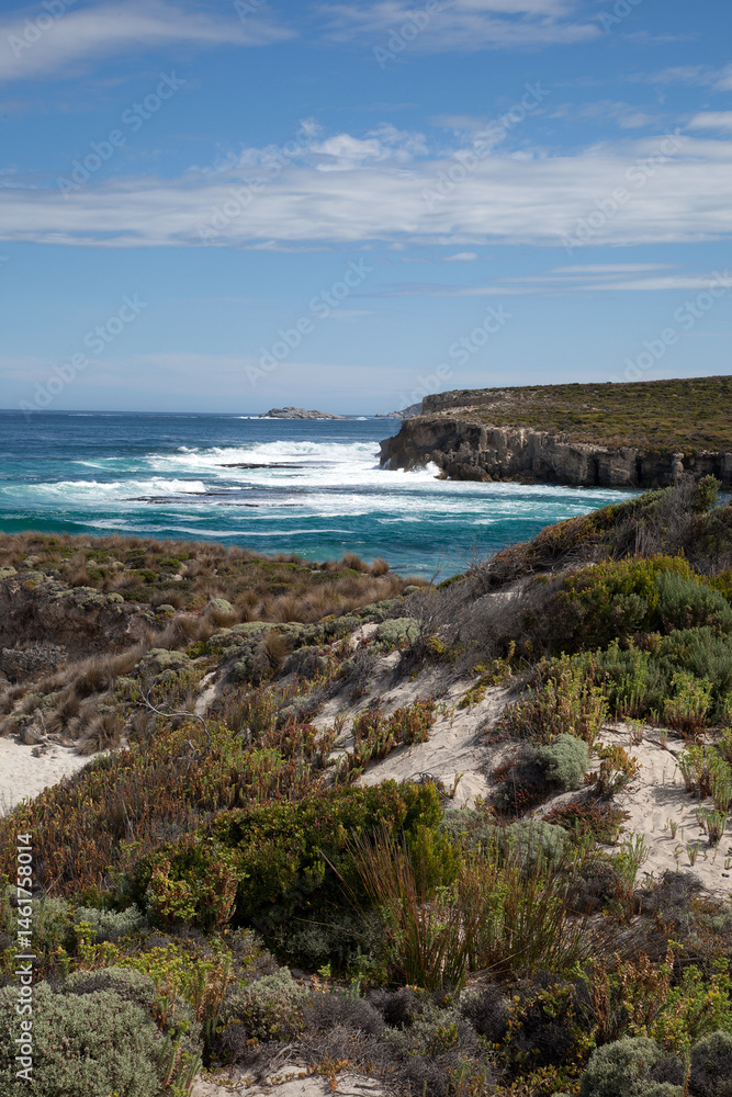 Ocean view over grassy sand dunes Ocean view over grassy sand dunes