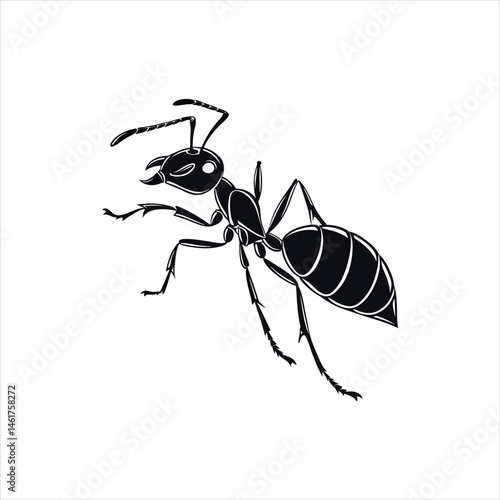 Black Ant Silhouette Vector Illustration