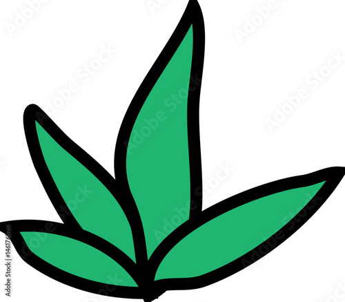Grass