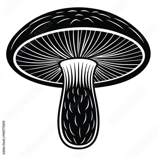 Mushroom vector Silhouette illustration Portobello mushroom top and cross section