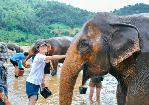 Photography One Asian person having fun bathing elephant at Elephant Nature Park in Chiangma