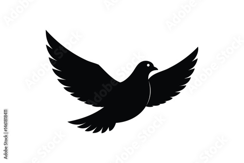 Dove silhouette on white background