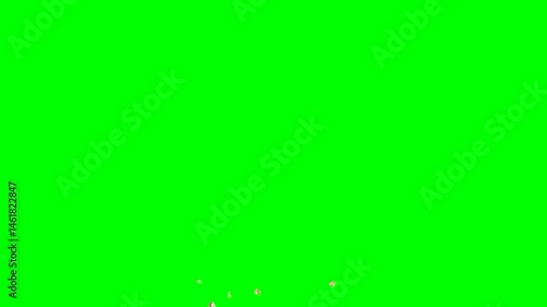 4K cracker golden confetti animation front view on green screen.