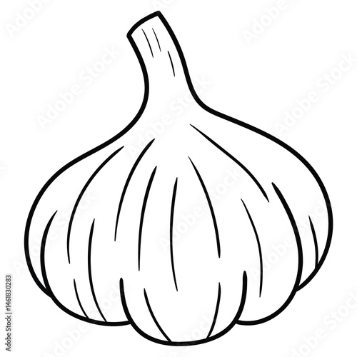 Hand drawn doodle garlic on white background.