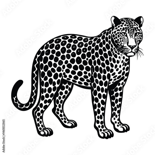 Black and white illustration of a majestic leopard standing and looking forward in a simple style